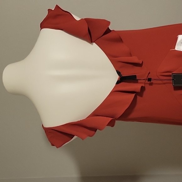 Beautiful BCBG MaxAzria Flowy Dress - Picture 6 of 8